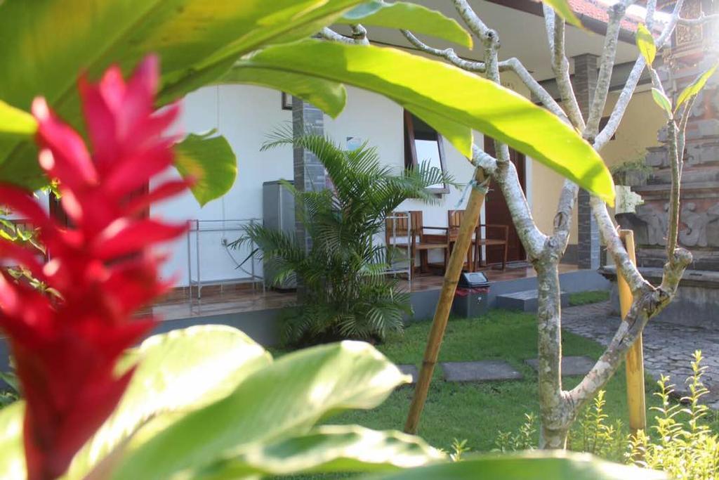 קנגו Twins Homestay מראה חיצוני תמונה