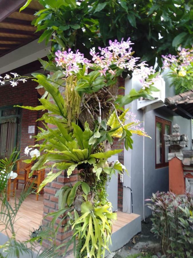 קנגו Twins Homestay מראה חיצוני תמונה